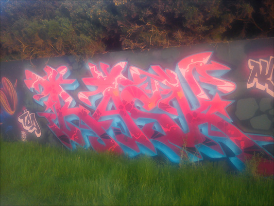 This is a photograph of graffiti by RASK
